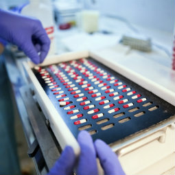 Pharma Industry Essentials